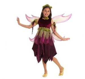 Sugar Plum Fairy Girl fairy costume