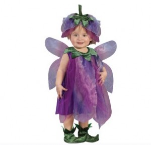 Sugar Plum Fairy Toddler Sugar Plum Fairy Costume